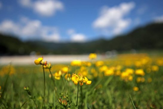 Track atmosphere
06.07.2017. Formula 1 World Championship, Rd 9, Austrian Grand Prix, Spielberg, Austria, Preparation Day.
- www.xpbimages.com, EMail: requests@xpbimages.com - copy of publication required for printed pictures. Every used picture is fee-liable. © Copyright: Charniaux / XPB Images