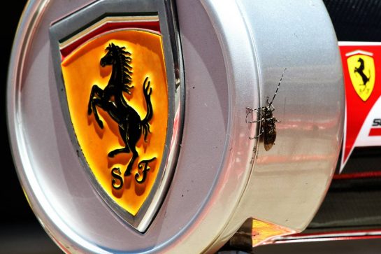 A large insect on Ferrari pit stop equipment.
06.07.2017. Formula 1 World Championship, Rd 9, Austrian Grand Prix, Spielberg, Austria, Preparation Day.
- www.xpbimages.com, EMail: requests@xpbimages.com - copy of publication required for printed pictures. Every used picture is fee-liable. © Copyright: Photo4 / XPB Images