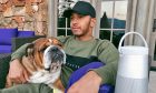 Lewis Hamilton chilling out at home with his dog, Roscoe.