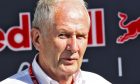 Helmut Marko, Red Bull and Toro Rosso motorsports consultant