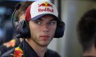 Pierre Gasly