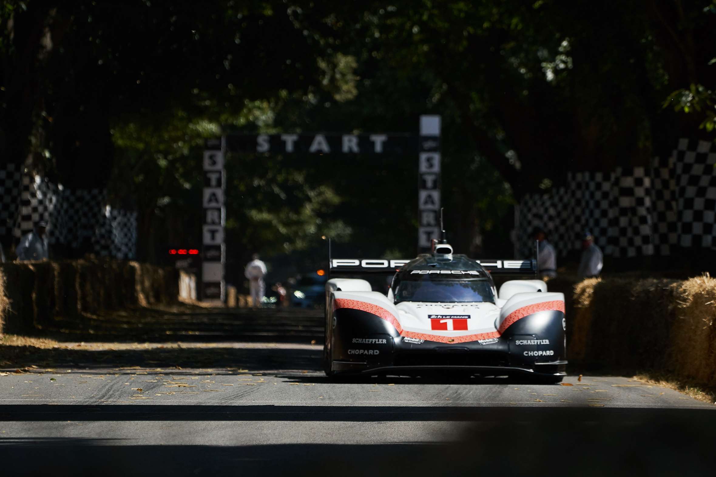 Flexible Adaptation Of Male Germ Cells From Female Ipscs Of Endangered Tokudaia Osimensis Science Advances