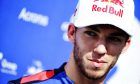 Pierre Gasly (FRA) Scuderia Toro Rosso.