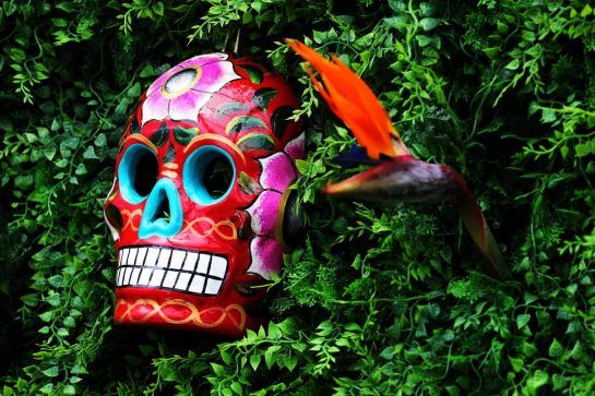 Paddock atmosphere.
27.10.2018. Formula 1 World Championship, Rd 19, Mexican Grand Prix, Mexico City, Mexico, Qualifying Day.
- www.xpbimages.com, EMail: requests@xpbimages.com - copy of publication required for printed pictures. Every used picture is fee-liable. © Copyright: Batchelor / XPB Images