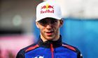 Pierre Gasly (FRA) Scuderia Toro Rosso.