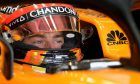 Stoffel Vandoorne (BEL) McLaren F1 10.11.2018.