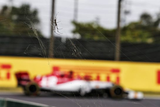 Kimi Raikkonen (FIN) Alfa Romeo Racing C38 passing a spider.
11.10.2019. Formula 1 World Championship, Rd 17, Japanese Grand Prix, Suzuka, Japan, Practice Day.
- www.xpbimages.com, EMail: requests@xpbimages.com - copy of publication required for printed pictures. Every used picture is fee-liable. © Copyright: Moy / XPB Images