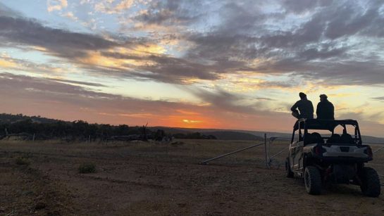 Daniel Ricciardo the Aussie outback