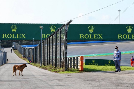 Circuit atmosphere - a dog near the track.
13.11.2020 Formula 1 World Championship, Rd 14, Turkish Grand Prix, Istanbul, Turkey, Practice Day.
- www.xpbimages.com, EMail: requests@xpbimages.com © Copyright: Batchelor / XPB Images