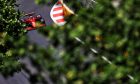 Charles Leclerc (MON) Ferrari SF-21. 04.06.2021. Formula 1 World Championship, Rd 6, Azerbaijan Grand Prix, Baku