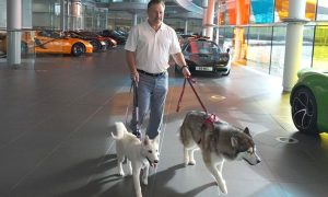 Paws for victory: Brown unleashes McLaren’s dog squad