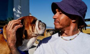Hamilton mourns the loss of beloved bulldog Roscoe