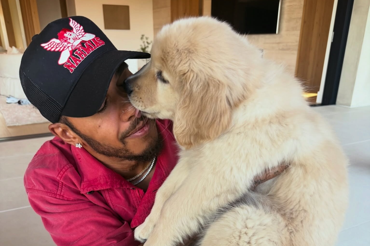 The ultimate life-saver: Hamilton new pup Halo The ultimate life-saver: Hamilton new pup Halo